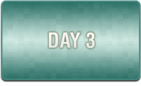 Day 3